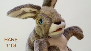 Folkmanis® Hare Puppet Demo - Retired