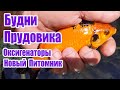 Будни Прудовика Оксигенаторы Новый питомник