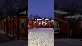 My favorite kind of sensory escape: books, forest air, and golden hour 📚 #영어회화#다국어통역사#interpreter