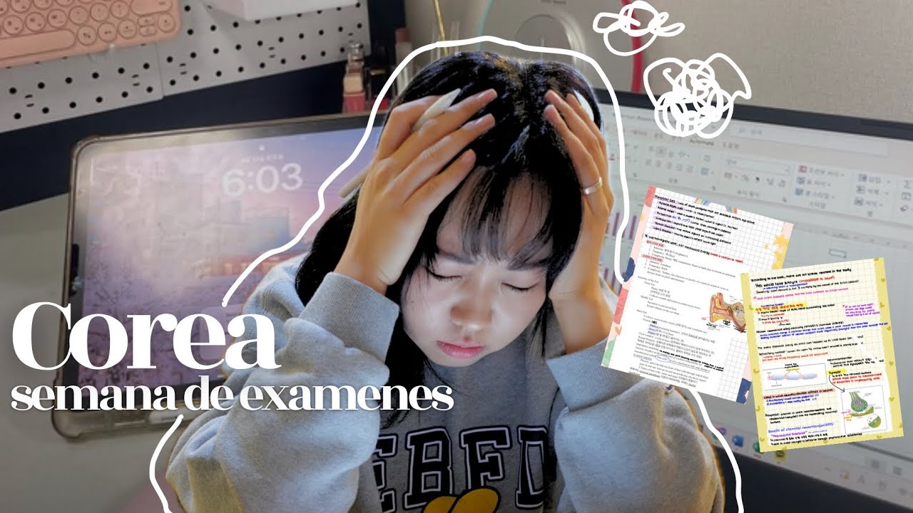 VLOG🎀 Estudia conmigo para mi semana de examenes😣😣: psicologia, estudiando en Corea, Korea Univ