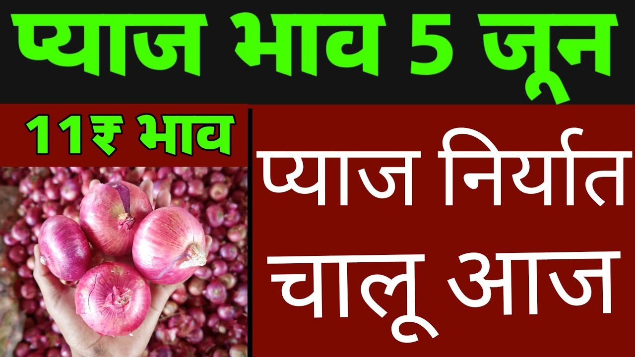 Ujjain Mandi Pyaj Ka Bhav Today || Pyaj Bhav Aaj Ka || 05 June 2023 ...