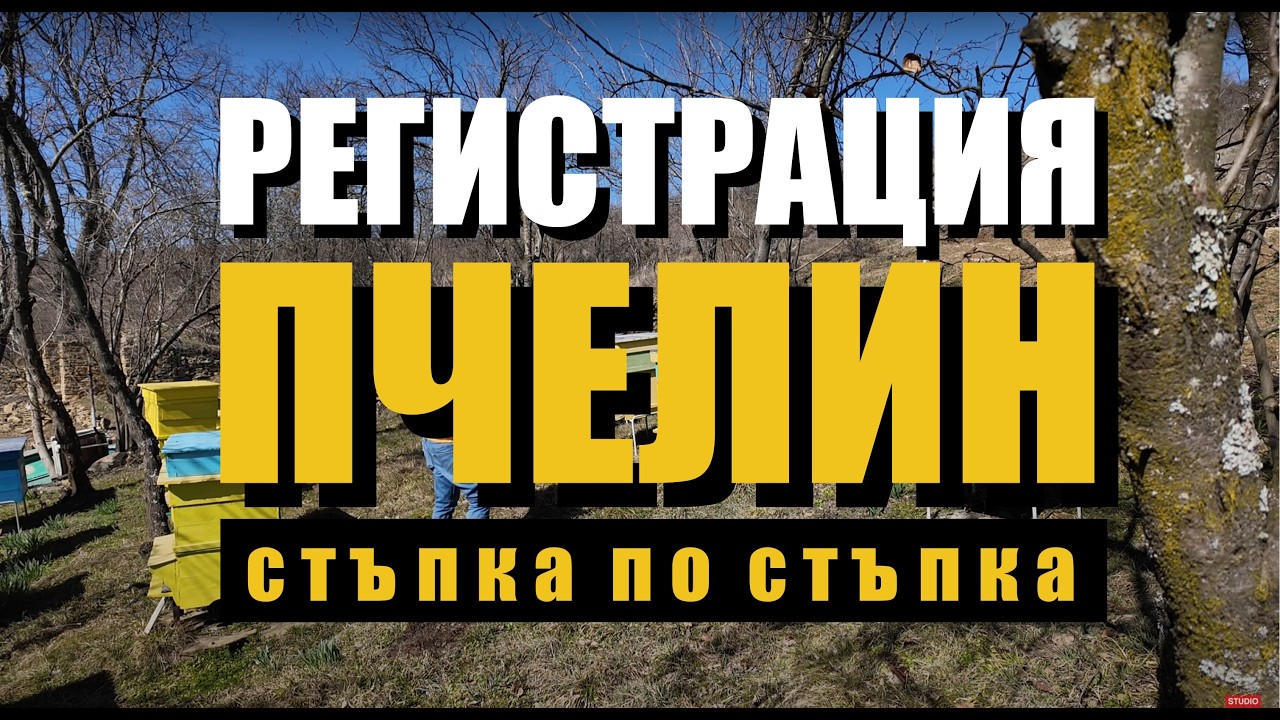 Как се РЕГИСТРИРА пчелин! | Цялата процедура - СТЪПКА ПО СТЪПКА.
