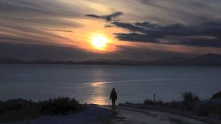 SP - Walking Alone Freestyle
