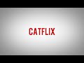 Catflix official intro  2021  catflix  clothing brand cat