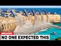Florida Dumped Half a Million Tons of Oyster Shells Offshore… Look What Formed