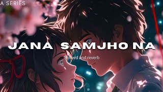 Jaana Samjho Na (Slowed + Reverb) | Bhool Bhulaiyaa 3 | Aditya Rikhari, Tulsi Kumar | A series