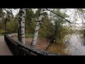 Silver Forest 🌲 walking tour 🚶🏼‍♂️Moscow city 🇷🇺 4K Russia