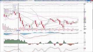 Bio XBI IBB LABU LABD AGN CLVS VRX Technical Analysis Chart 2/18/2017 by ChartGuys.com