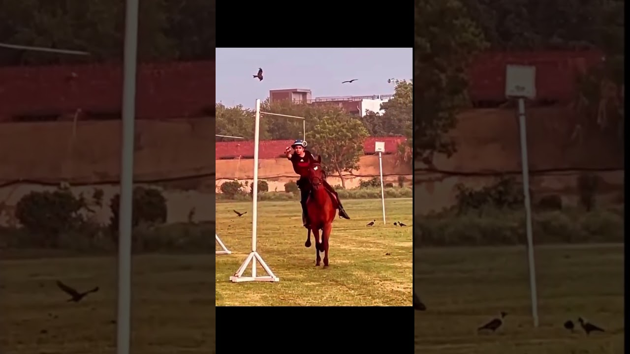 tent pegging horse riding practice 