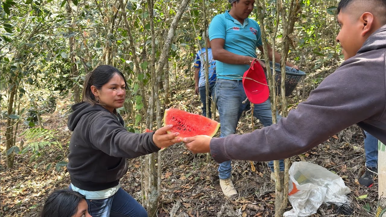 👉🏼Disfrutamos De Esta Deliciosa Sandía, Un Poco De Descanso Antes De Terminar👈🏼