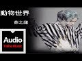 薛之謙 Joker Xue【動物世界】官方歌詞版 MV