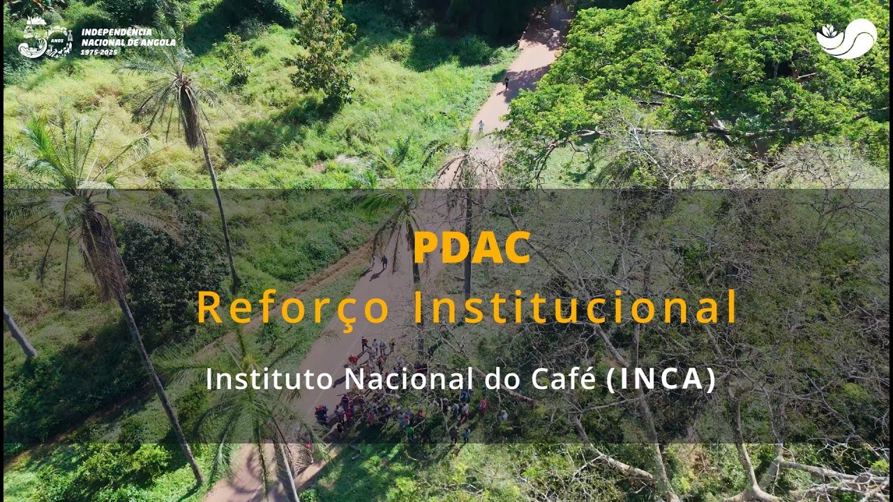 PDAC Reforço Institucional Instituto Nacional do Café INCA - YouTube