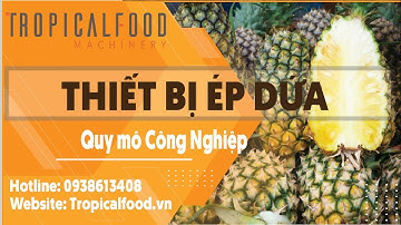 Cung cấp đồng bộ dây chuyền thiết bị sản xuất nước trái cây cô đặc - Tropical Food Machienry Srl