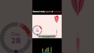 Women’s ovulation signals womenovulationtipsovulationdaysfypシlifestylefypシ゚viral