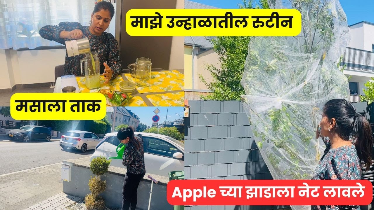 माझे उन्हाळातील रुटीन | Apple च्या झाडाला नेट लावले .. मसाला ताक recipe  #1262