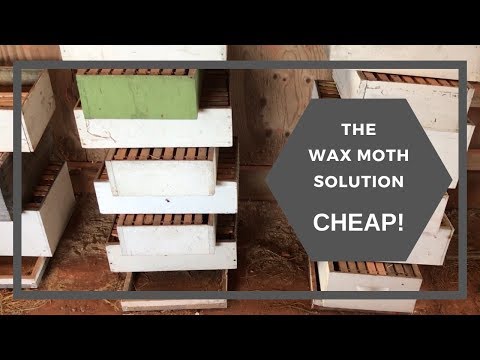 How I Store Supers to Prevent Wax Moth Damage