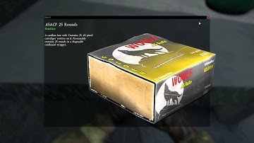 DayZ Pistols: Magazines, Ammo, and Zombie Smashing Ability