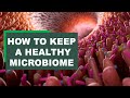 How to keep a healthy microbiome  gut surgeon dr james kinross part 3