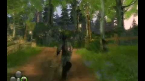 Fable 2 - The Ritual | WikiGameGuides