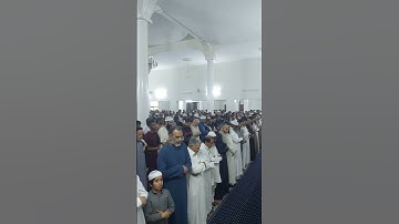 الشيخ نور الدين المسلاتي - تلاوة تبعث الطمائنينة - ماتيسر من سورة يوسف