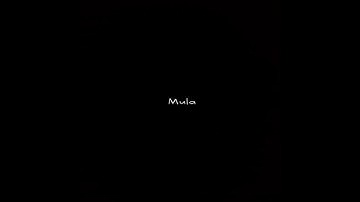 Plumpy Boss - Mula (sped up)