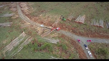 2017 logging and road building