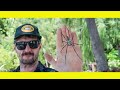 Huge SPIDERS, Hidden lakes & a Q&A.Sailing Indonesia (Learning By Doing Ep 107)