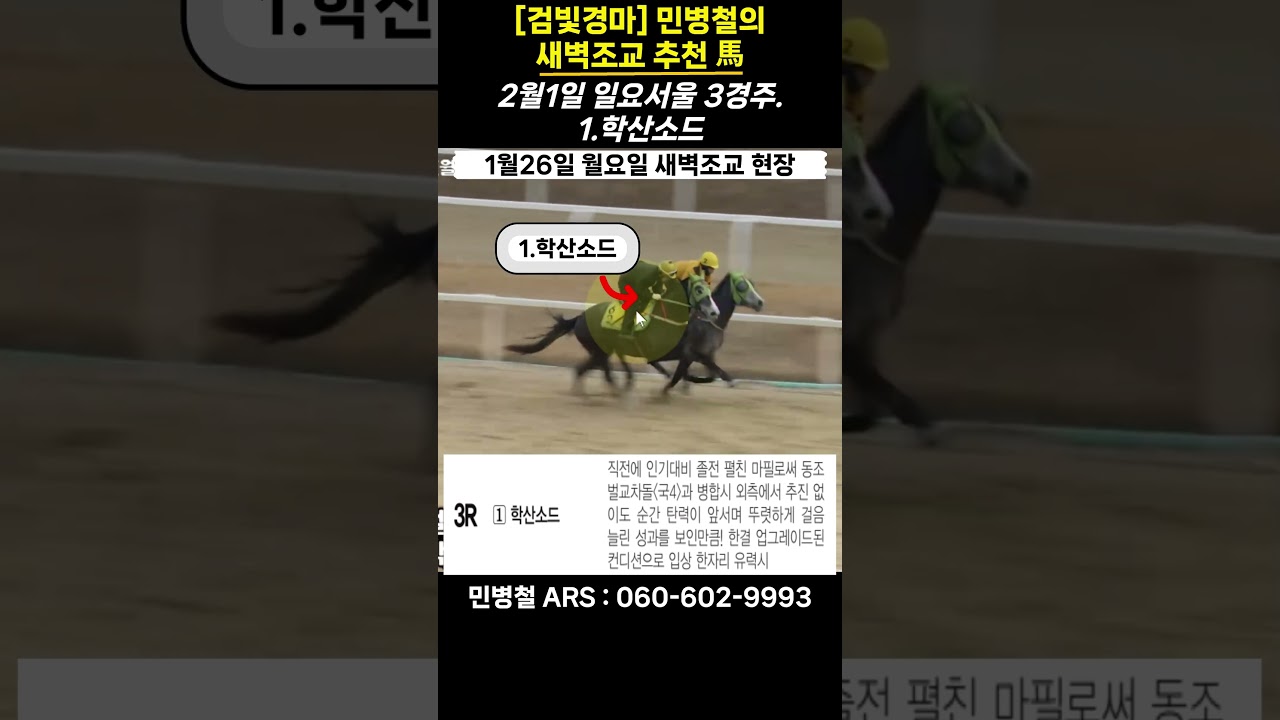 #2월1일 일요일! 민병철의 새벽조교 우수馬!
