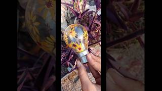 room decor ideas painting on bulb 💡🌻 simple art' #diy #decoration #ideas #craft #shortvideo