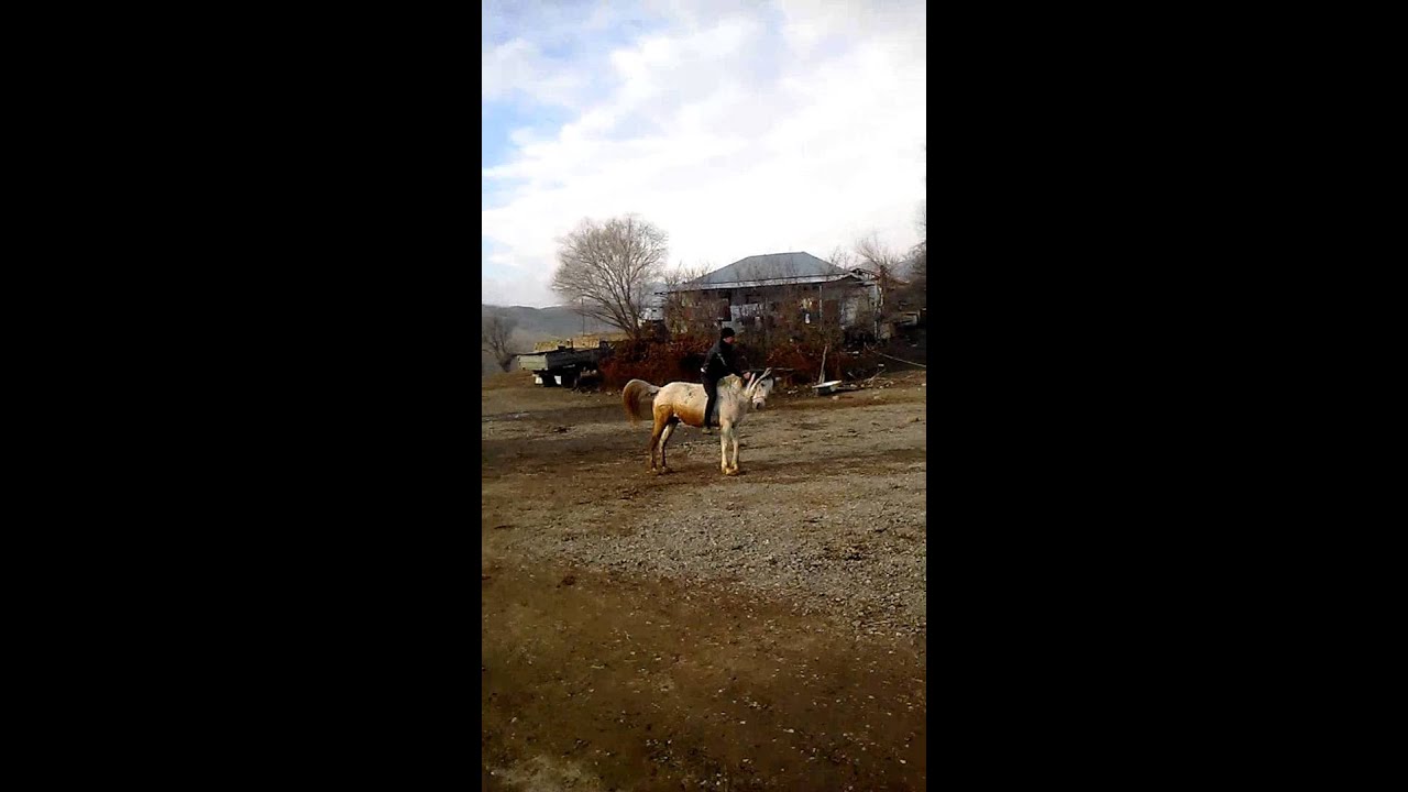 Culfa rayon surud kendi.heyder