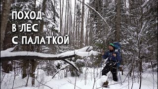 Поход в лес | Solo bushcraft | Winter Camping