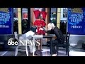 download Sia Performs 'Reaper' Live on 'GMA' - ABC News download Sia Performs 'Reaper' Live on 'GMA' - ABC News