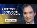 Яких успіхів вже досягли партизани в Мелітополі. Олександр Мусієнко, Експертна думка