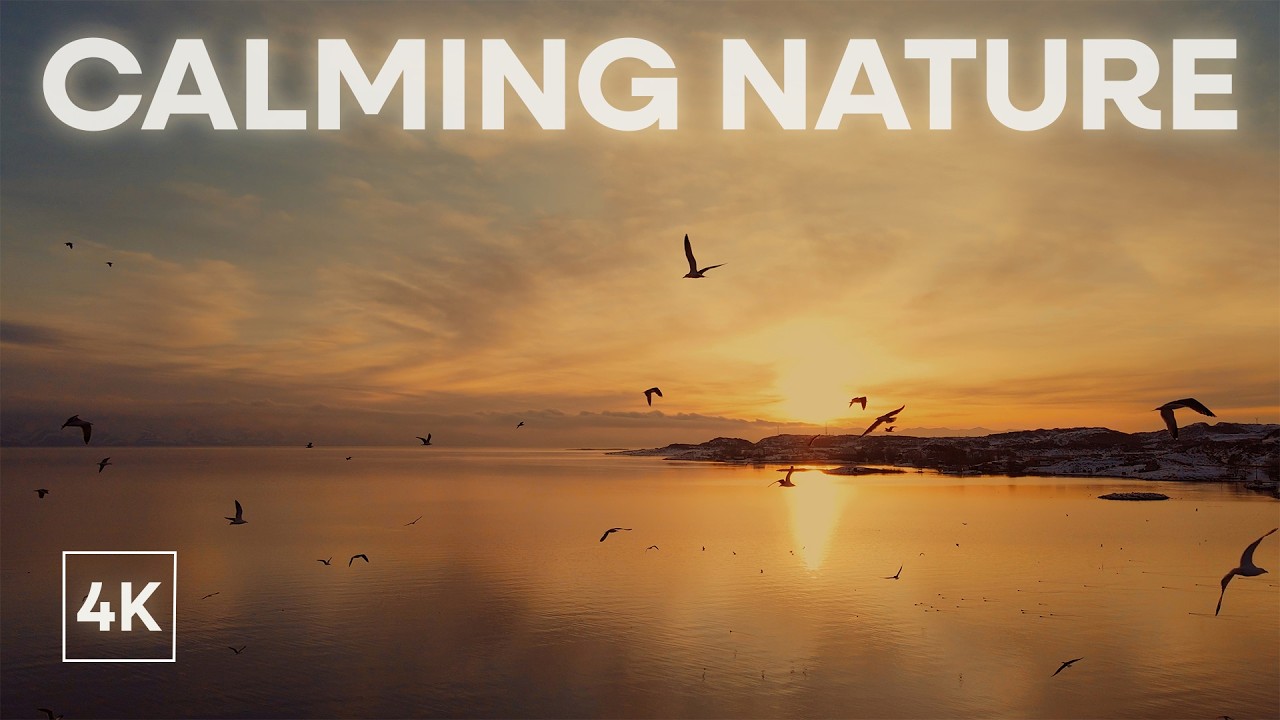 Calming Nature 4K | 2 hours handpan music | Malte Marten & Changeofcolours