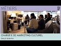 Prophil 5  charge de marketing culturel