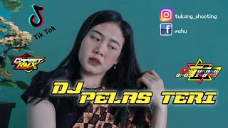 Dj Pelas Teri Remix tik tok Terbaru / Bas jedug jedug , Gapret Rmx