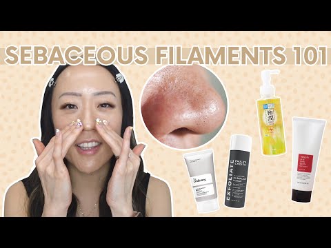 Sebaceous Filaments 101 | Sebaceous Filaments vs Blackheads | Skincare Recs, Removal & Oil Cleansing