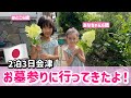 【お墓参り】ハワイアンズと会津若松の旅！