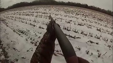 Amazing shot on a Running Whitetail Buck!
