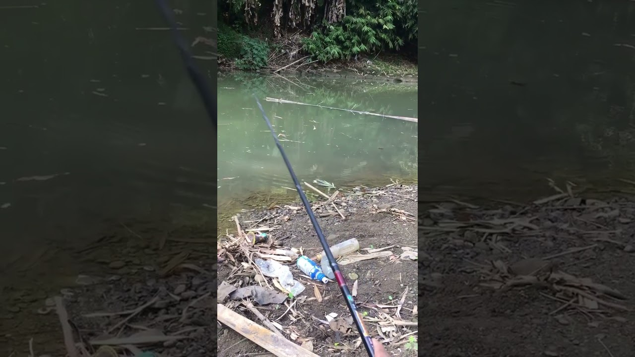 Casting boncos gass negek