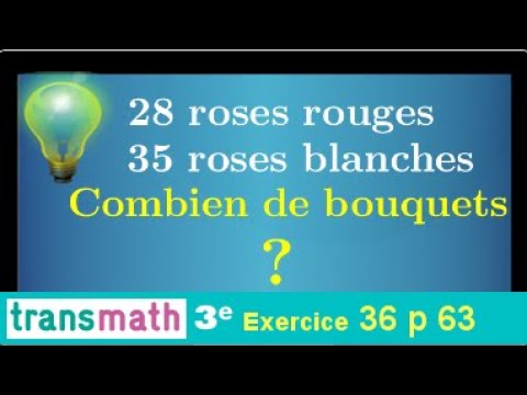 Vidéo: Cultivars de roses blanches - En savoir plus sur les différents types de roses blanches