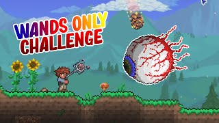 Can You Beat Terraria Using Wands Only?