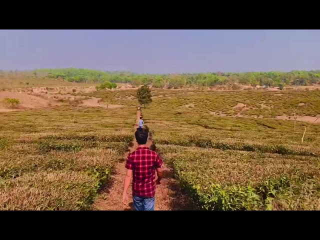 The beauty of Habiganj 🍃 Location: Teliapara (20), Habiganj