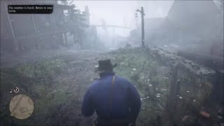 Red Dead Redemption 2 - Strawberry in Chapter 1