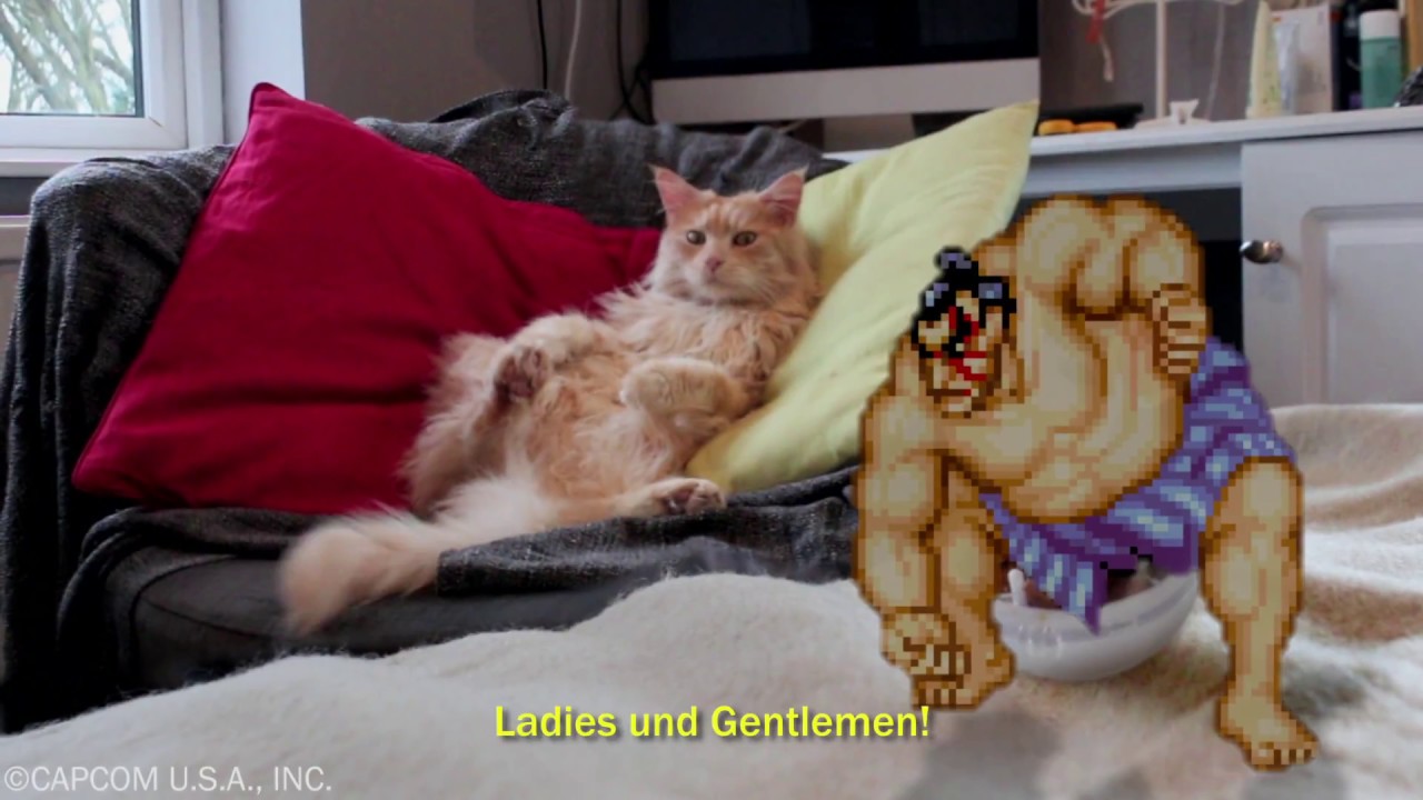 Wieder da: Dreamies Snacky Mouse