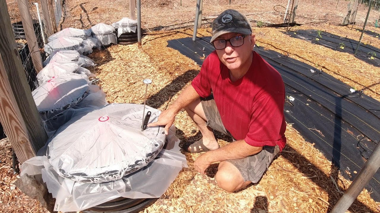 Direct Sowing Peppers In Pots, Taking Temperature Reading For Better Germination.
