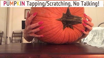 ASMR * Pumpkin Tapping & Scratching! * Fast Tapping * No Talking * ASMRVilla