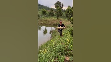 Ná VIP 10 bắn cá trắm cỏ khủng #slingshot #sungnacaosu #nobanbi #kenhchiase #nacaosu