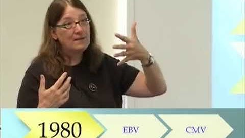 ME/CFS lecture | Dr Nancy Klimas | 2011 [Chronic Fatigue Syndrome / New Zealand]