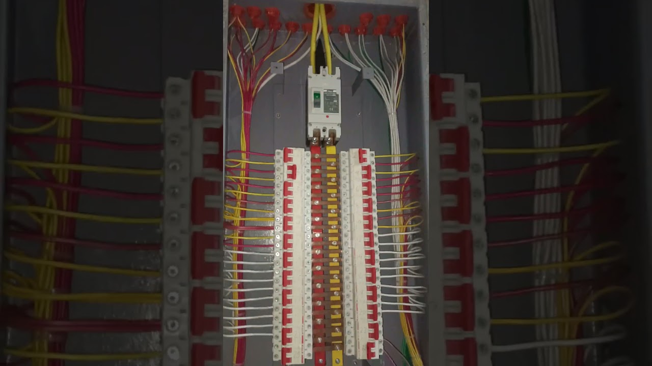 24 bRanch Panel Board wiring